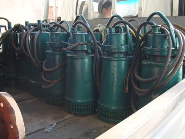 新闻名称：维修好潜水泵
添加日期：2014-06-10 19:48:33
浏览次数：2360